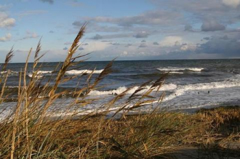 Baltic Sea Coast